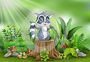 Cartoon a raccoon standing on tree stump with green plants