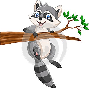 Cartoon Raccoon on the tree branch