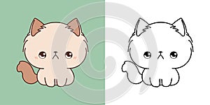 Cartoon Ragamuffin Kitty Clipart for Coloring Page and Illustration. Clip Art Isolated Baby Cat. Cute Vector