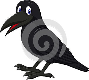 Cartoon raven isolated on white background