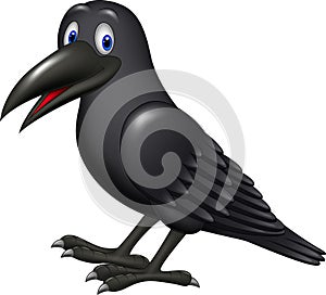 Cartoon raven isolated on white background