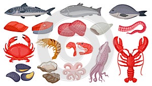 Cartoon raw seafood, fish, fresh salmon, lobster and squid. Ocean shrimp, tuna steak, shellfish and octopus tentacle
