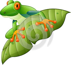 Cartoon red-Eyed Amazon Tree Frog on green leaf
