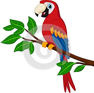 Cartoon red parrot on a branch