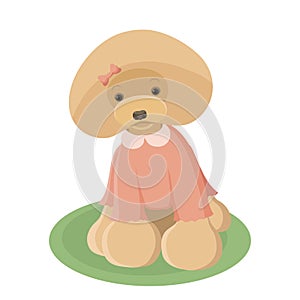 Cartoon red toy poodle illustration on white background