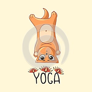 A cartoon red yoga kitten stands on the head with the inscription and lotus flowers.