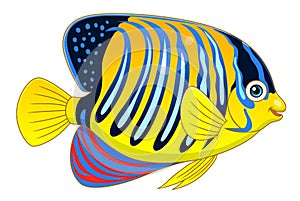 Cartoon regal angelfish