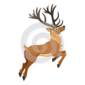 Cartoon reindeer with beautiful antlers is jumping. Doe animal.