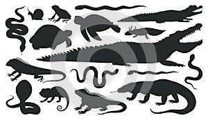 Cartoon reptile and amphibian silhouettes. Wild animals, frog, crocodile, lizard, snake, chameleon and turtle black silhouette,