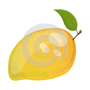 Cartoon ripe mango fruit, vector illustration