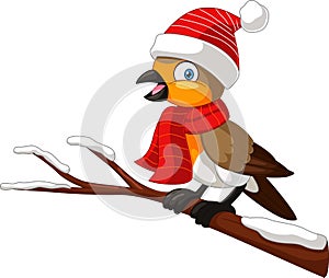 Cartoon robin bird wearing santa hat and scarf