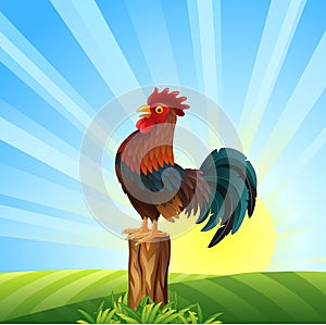 Cartoon Rooster crowing at dawn