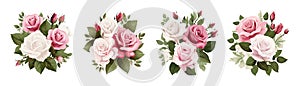 Cartoon roses bouquets, rose flowers with green leaves compositions. Decorative floral design, pink and white rosebuds