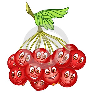 Cartoon Rowanberry character photo