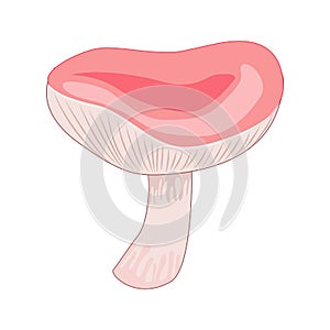 Cartoon russule mushroom isolated on white background.