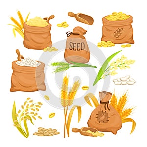 Cartoon sacks with wheat. Sack with sheaf spikelet plant rye flour oat grain cereals rice, farming bag harvest grains of