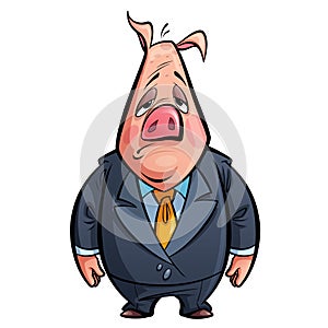 Cartoon sad politician pig animal character with costume