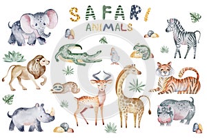 Cartoon safari park.Beautiful tropical watercolor illustrations of animals.