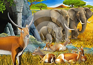 cartoon safari scene with family of antelopes and elephant on the meadow illustration for children