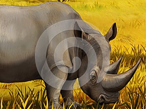 Cartoon safari scene with rhino rhinoceros on the meadow beautiful illustration for children