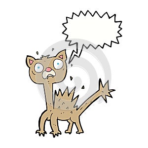 cartoon scared cat with speech bubble