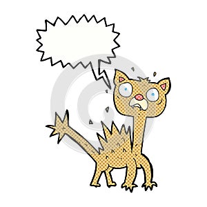 cartoon scared cat with speech bubble