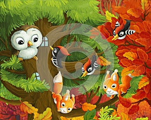 Cartoon scene with animals owl woodpeckers squirrels