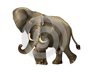 Cartoon scene with big elephant on white background safari