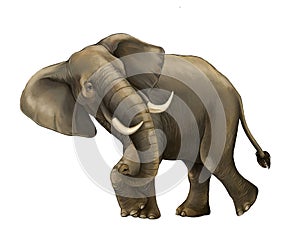 Cartoon scene with big elephant on white background safari