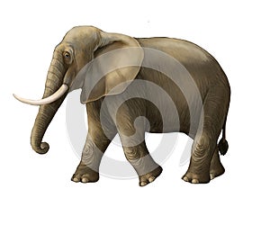 Cartoon scene with big elephant on white background safari