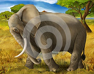 Cartoon scene with big elephant on white background safari