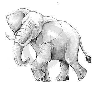 Cartoon scene with big elephant on white background safari coloring page sketchbook