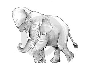 Cartoon scene with big elephant on white background safari coloring page sketchbook