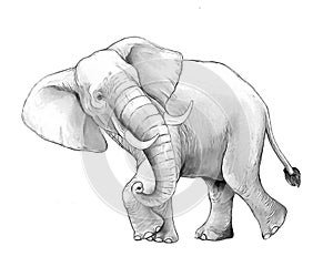 Cartoon scene with big elephant on white background safari coloring page sketchbook