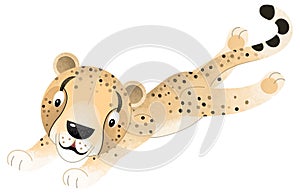 cartoon scene with cheetah cat animal theme isolated on white background illustration for children