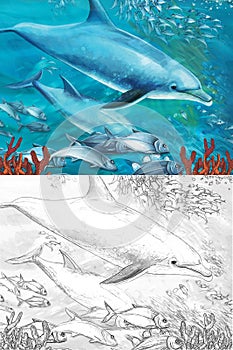 Cartoon scene with coral reef animals underwater illustration