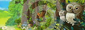 Cartoon scene in the deep forest with owl sitting and looking - illustration