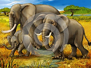 Cartoon scene with family of elephants safari illustration for children