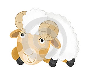Cartoon scene with farm sheep on white background