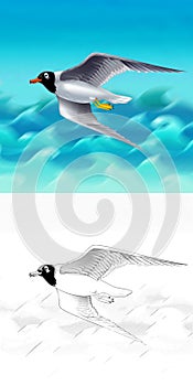 Cartoon scene with flying bird seagull tern isolated illustration