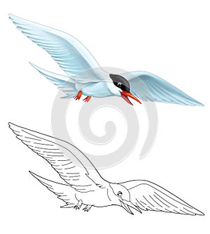 Cartoon scene with flying bird tern isolated on white background witch coloring page sketchbook