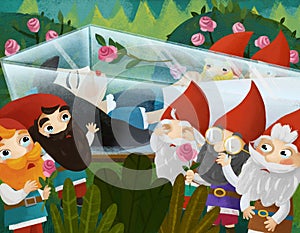 Cartoon scene with girl princess and dwarfs illustration