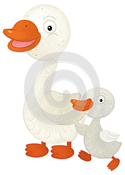 cartoon scene with goose bird farm animal theme isolated background illustration for children