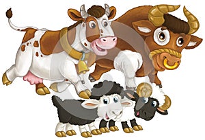 cartoon scene with happy farm animal cow and bul and two sheep having fun together isolated illustration for children