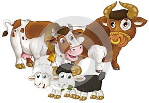 cartoon scene with happy farm animal cow and bul and two sheep having fun together isolated illustration for children