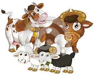 cartoon scene with happy farm animal cow and bul and two sheep having fun together isolated illustration for children