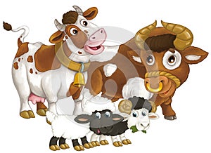 cartoon scene with happy farm animal cow and bul and two sheep having fun together isolated illustration for children