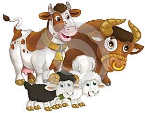 cartoon scene with happy farm animal cow and bul and two sheep having fun together isolated illustration for children