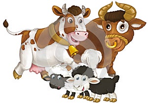 cartoon scene with happy farm animal cow and bul and two sheep having fun together isolated illustration for children