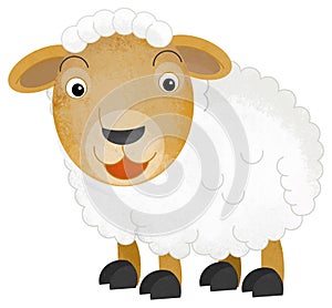 cartoon scene with happy and funny sheep farm animal isolated background illustration for children
